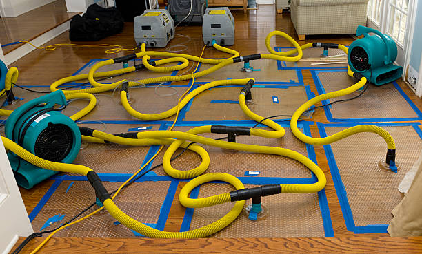 Professional Structural Drying And Dehumidification technician working in Liberty, MO